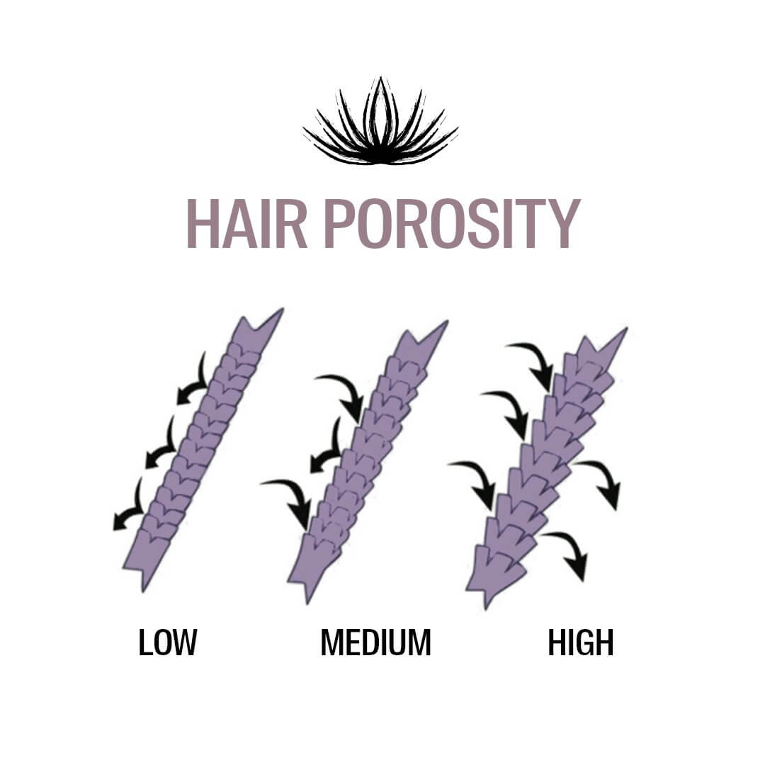 What is Eyelash Porosity?
