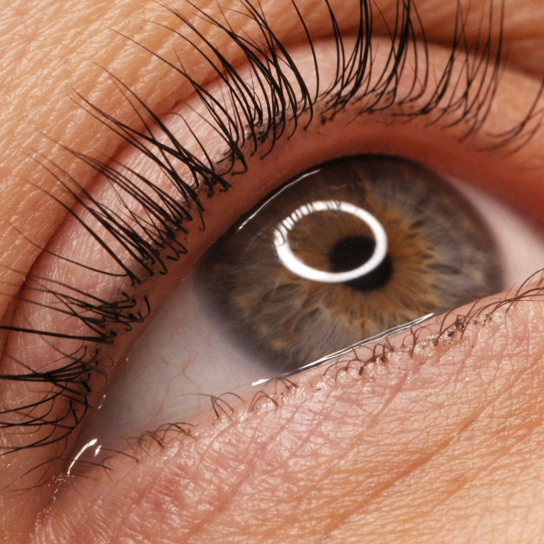 Can You Learn Lash Lift at Home?