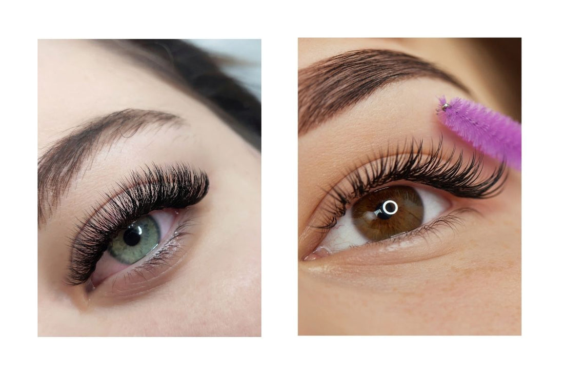 Classic vs. Volume Lash Courses: Which Should You Take First?
